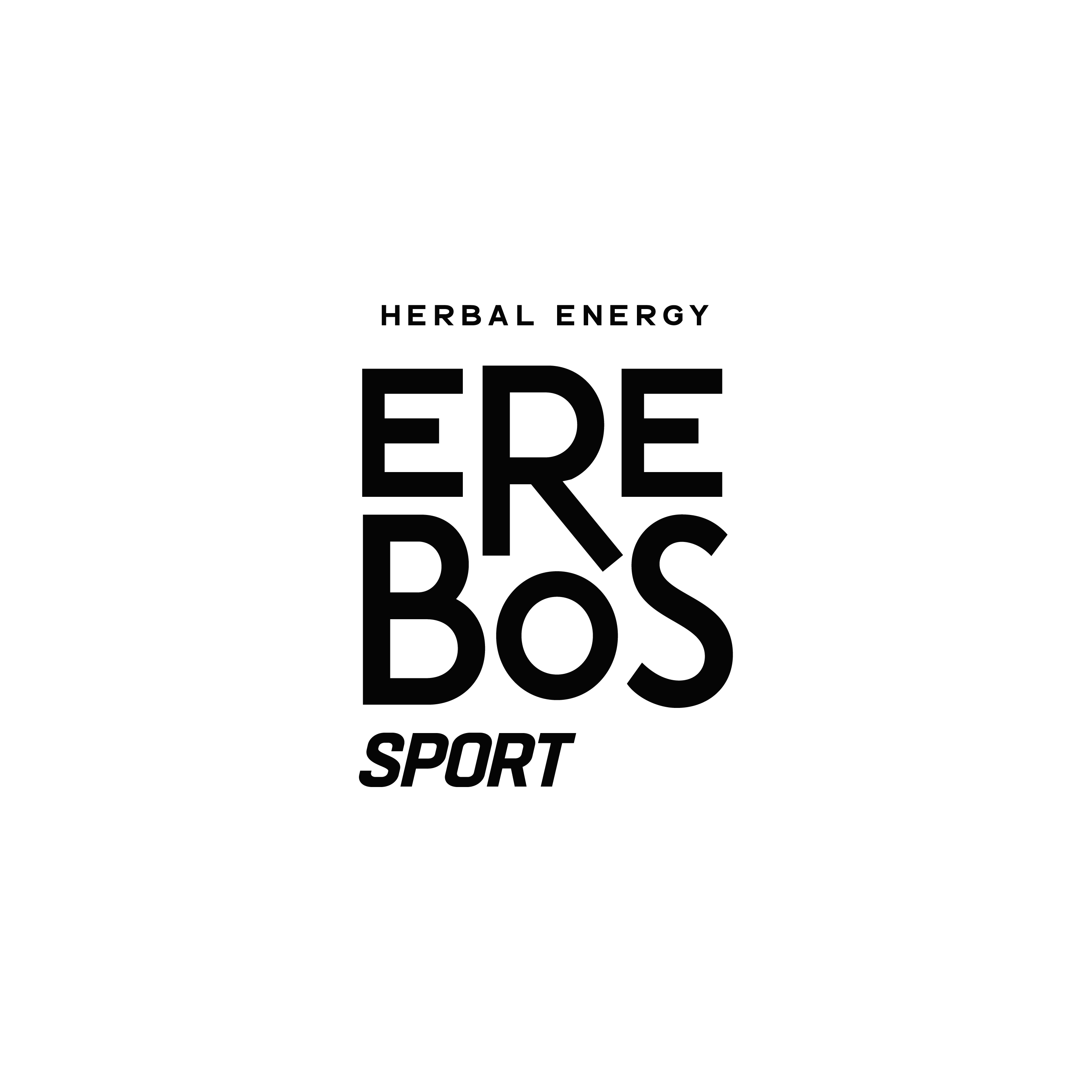 logo Erebos Sport